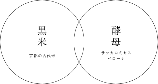 FAS THE BLACK CREAM | 発酵科学スキンケア FAS