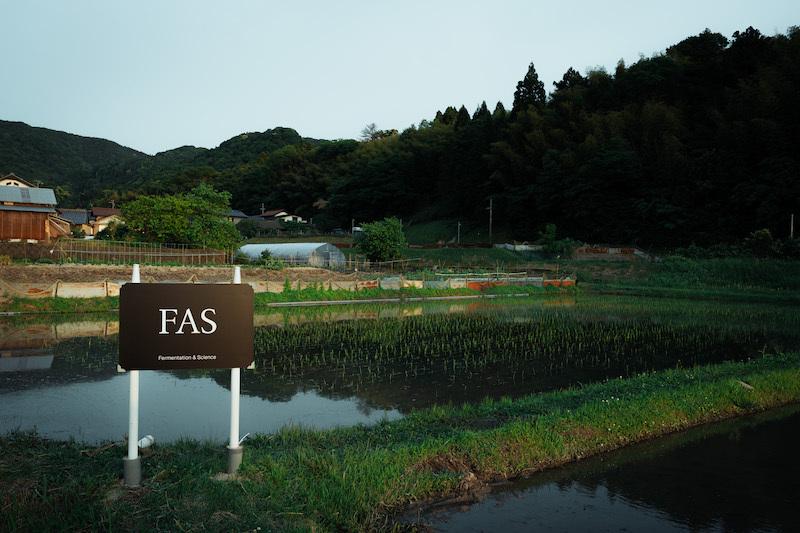 「FASはこの地域を大事にしてくれている。だから今は集落一丸となって協力したい」と藤村さん。古代米の歴史の継承を目的に設けた農地を、現在はFASのために20倍にまで広げていただきました。春は、地元の皆さまと一緒に田植えを行い、町をあげて栽培していただいています。