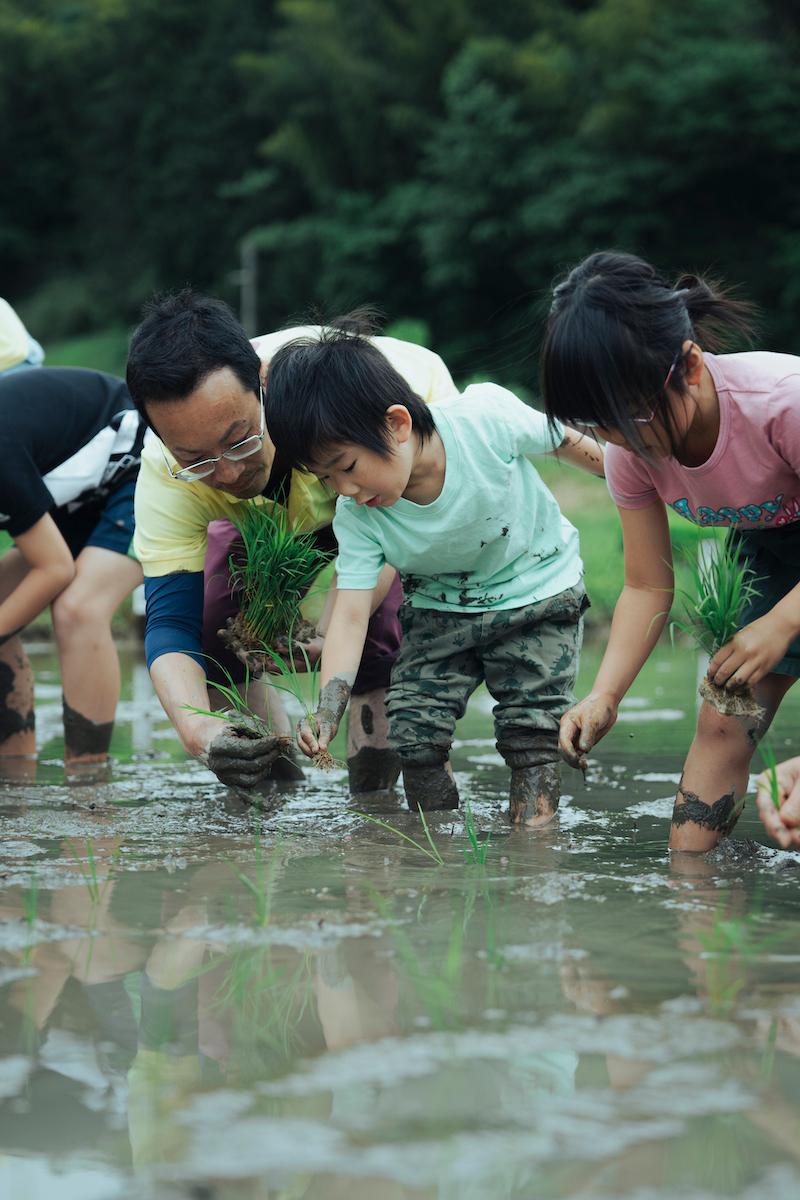 ほかにも、地域の資料館の運営や小学校の子ども達への米作りの教育など、お金儲けのためではなく、古代米を復興し後世へと継承するために情熱をもって活動されている赤米保存会の皆さん。その熱意に感動し、この方々が作る黒米は信頼できると確信しました。