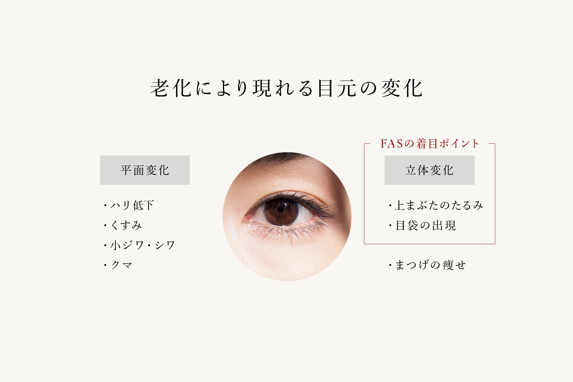 FAS研究所