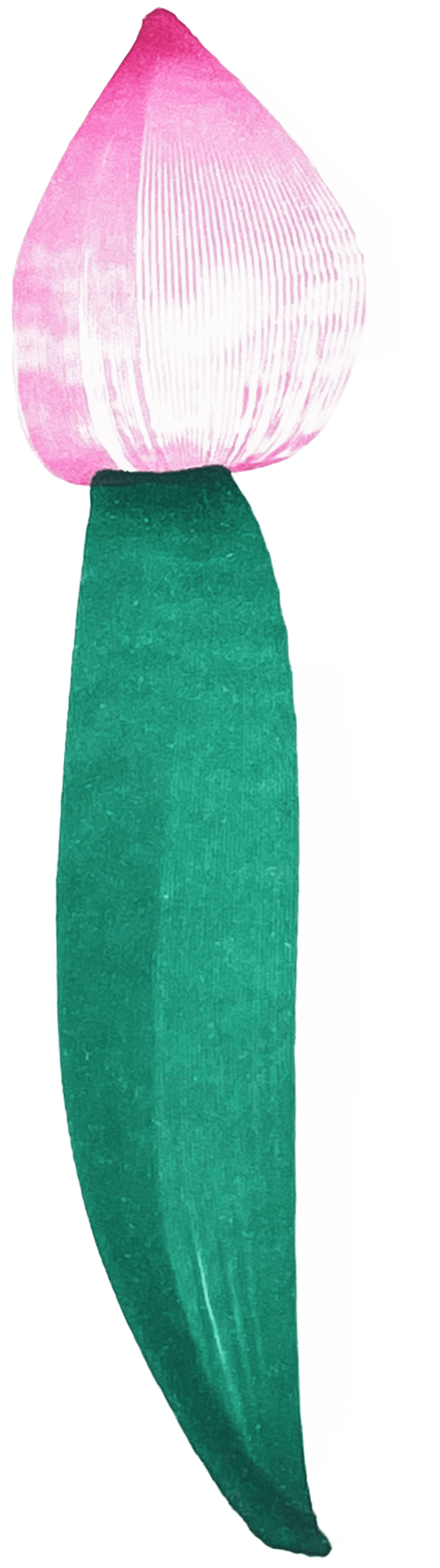 Fashion collection flower left