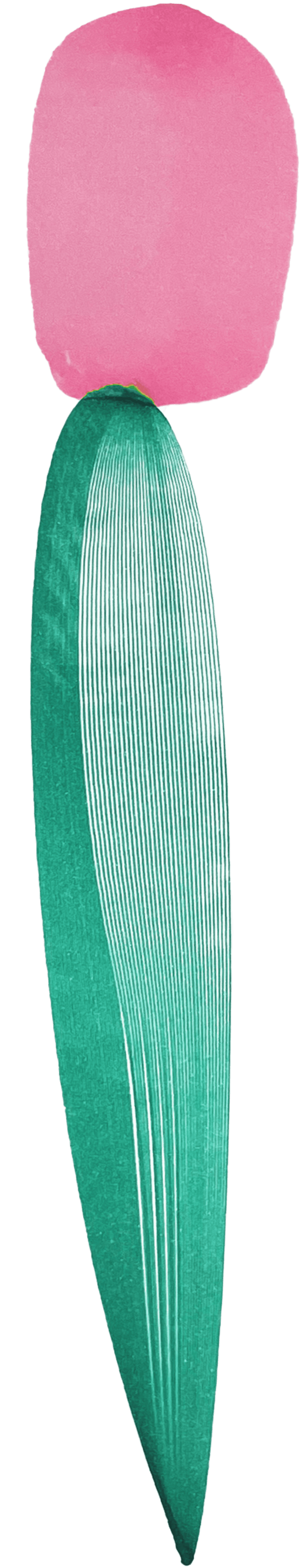 Illustration of a flower