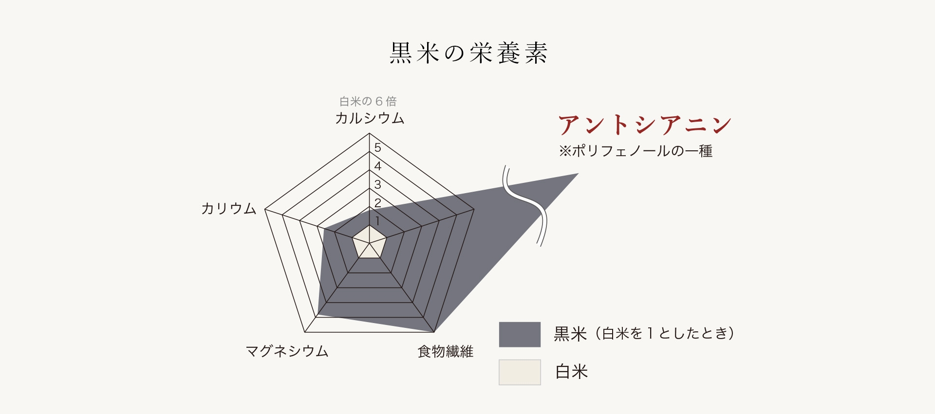 黒米の栄養価