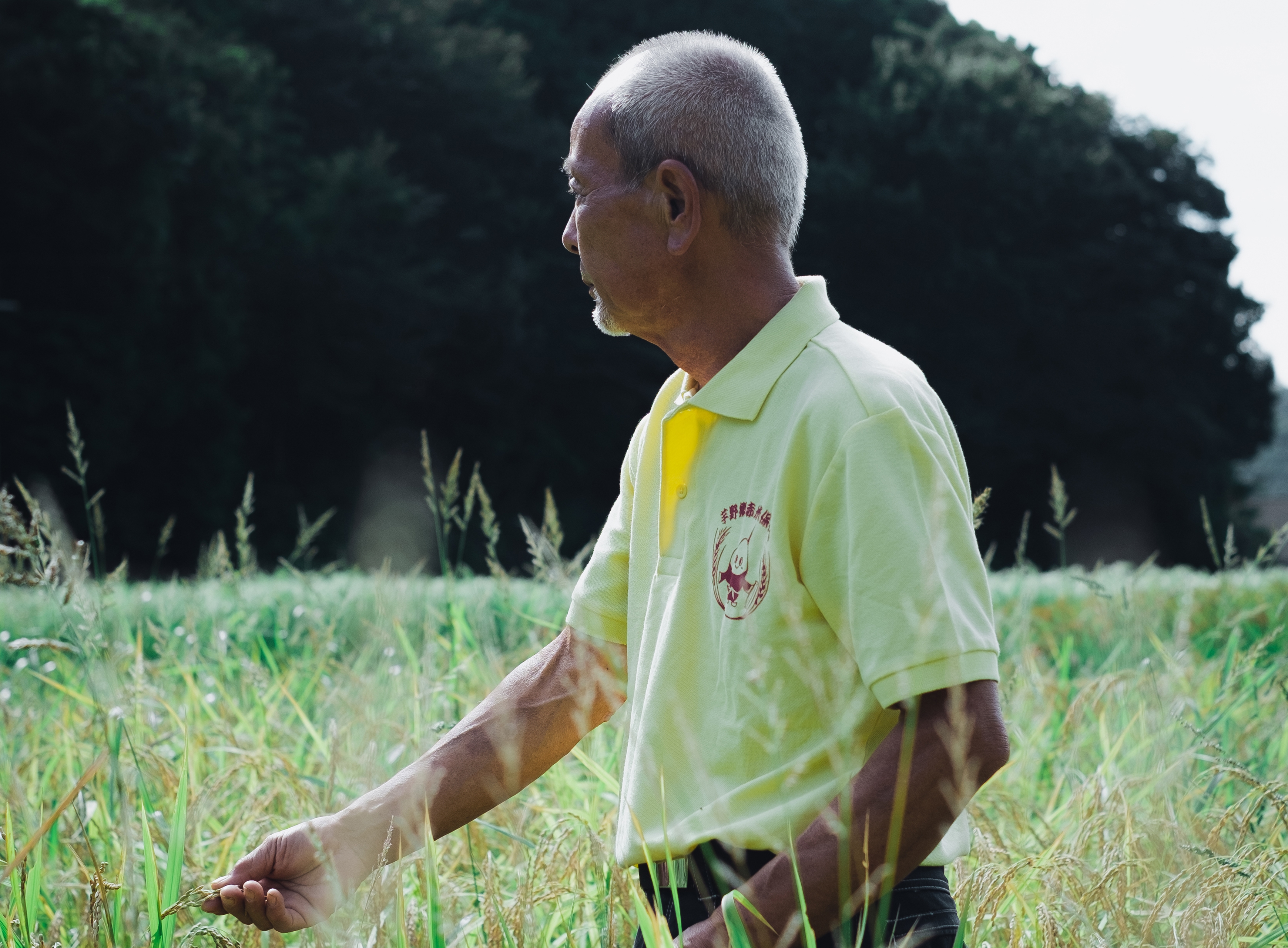 「あきらめないわけ」