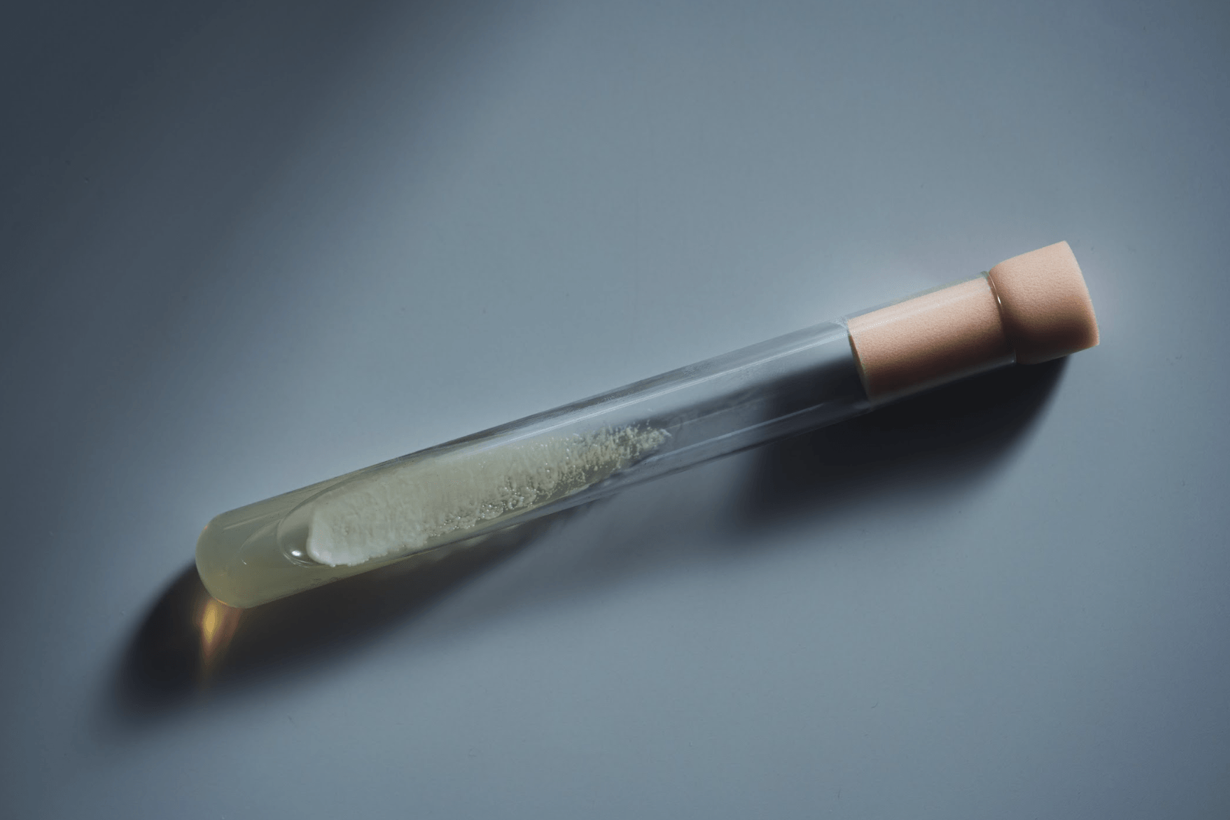 菌に向き合い続けた110年