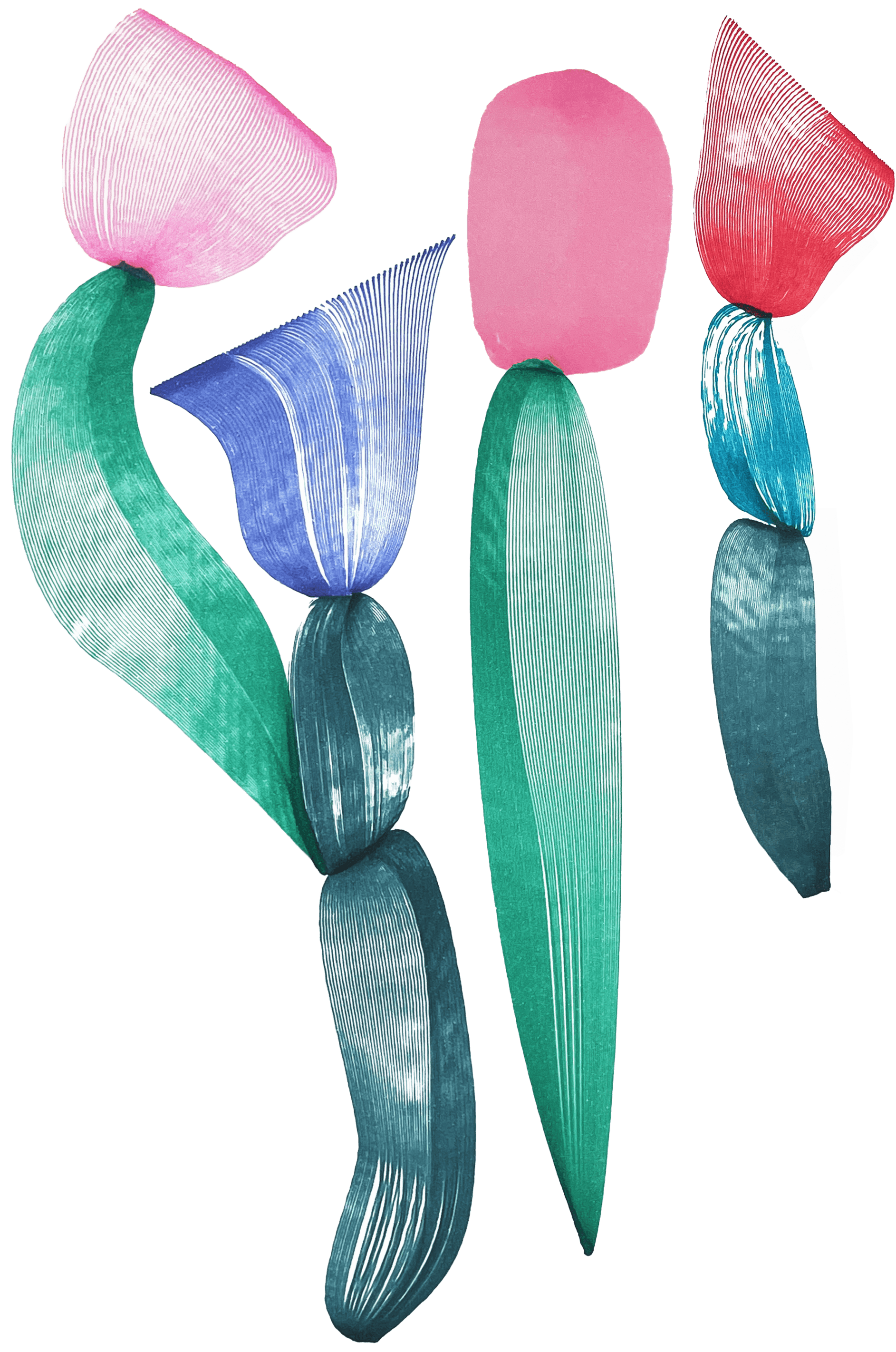 FAS Day Skincare Kit