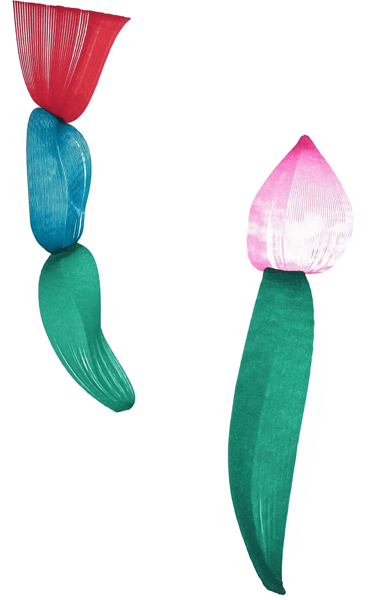 FAS Day Skincare Kit