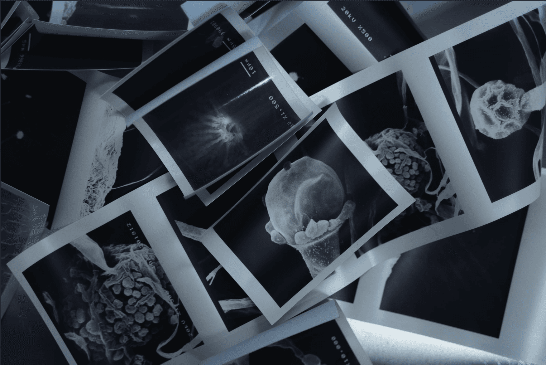 一万種を超える菌と向き合いつづける