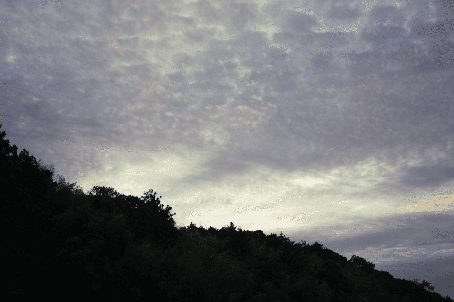 古代米をこれからも絶やさず繋いでいきたい