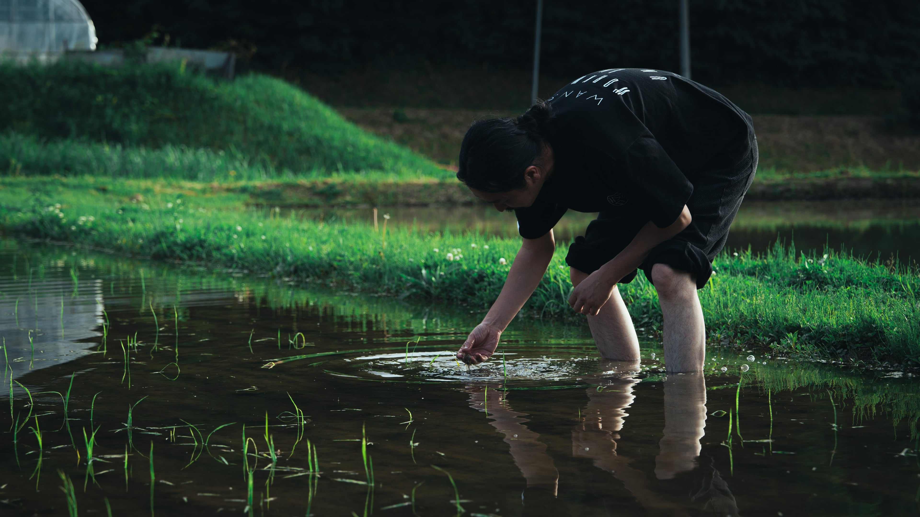 「自然にかえるわけ」