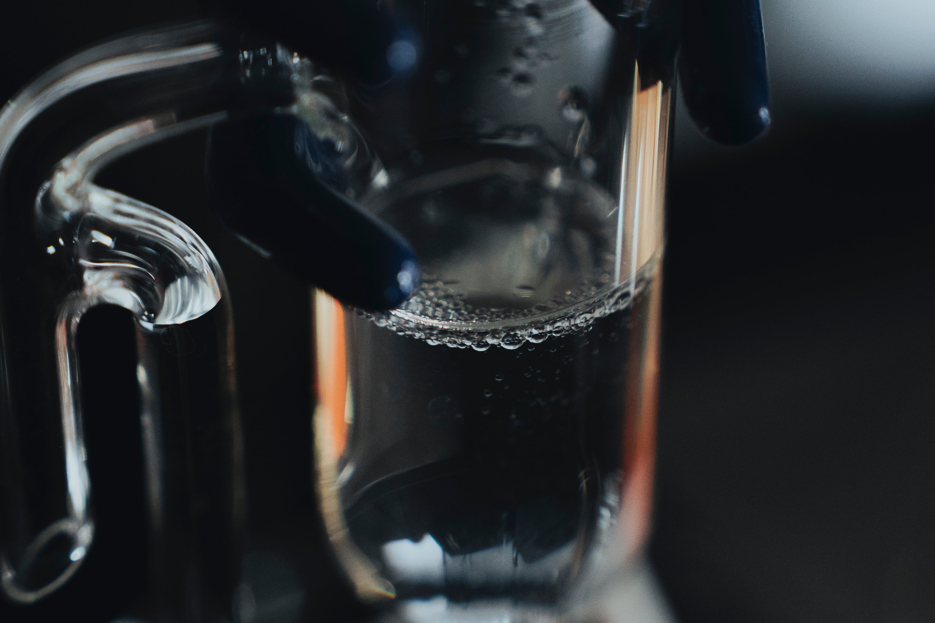 哲学の道、朝6時の香り