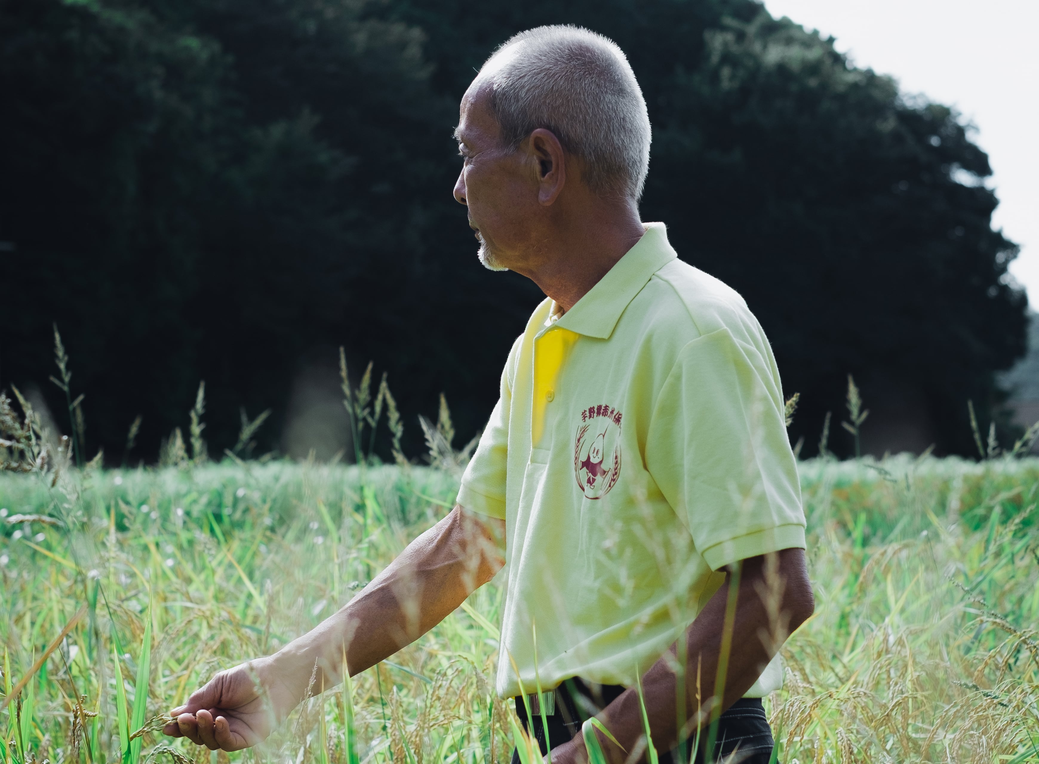 「あきらめないわけ」