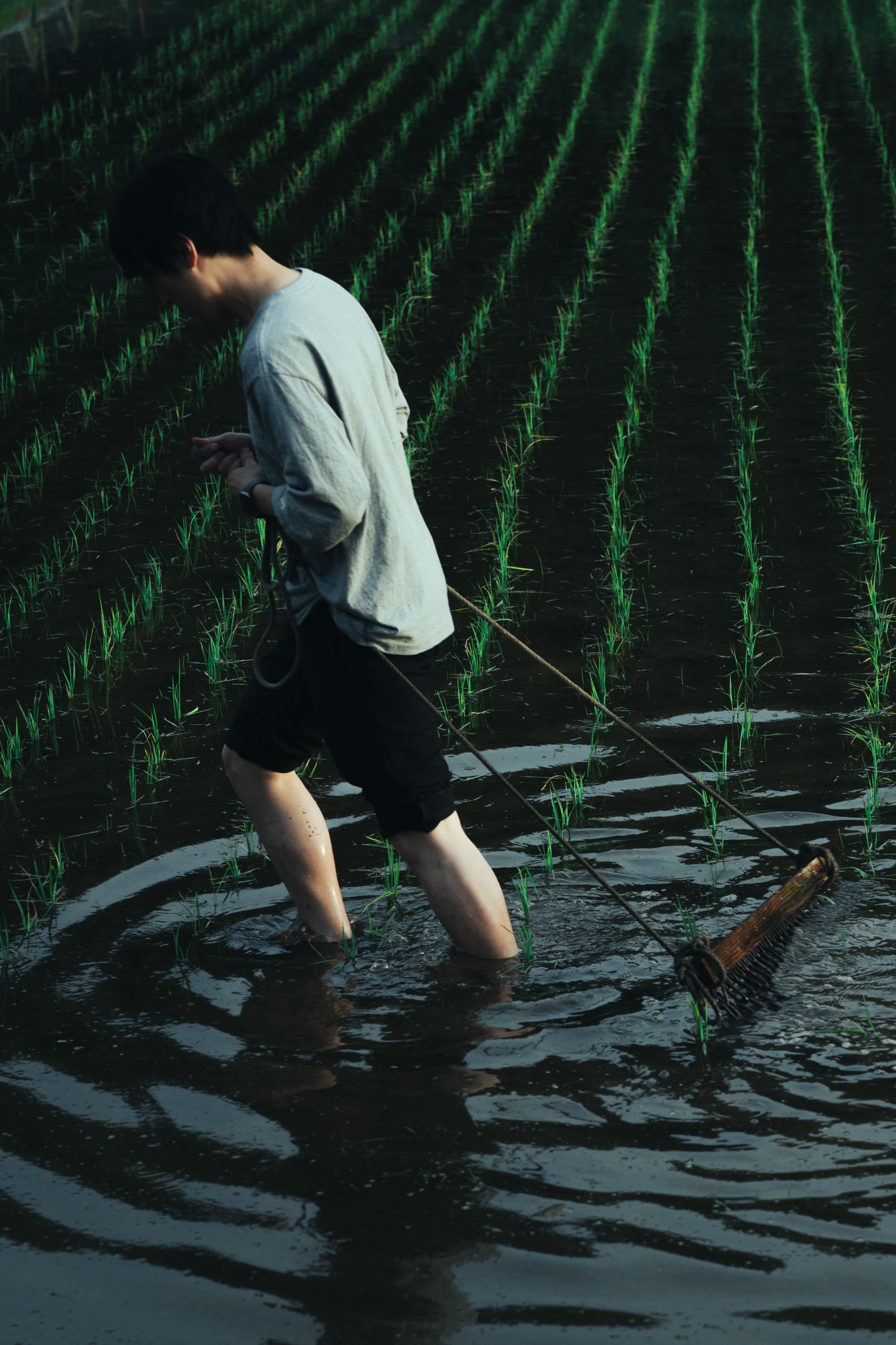 「学び続けるわけ」