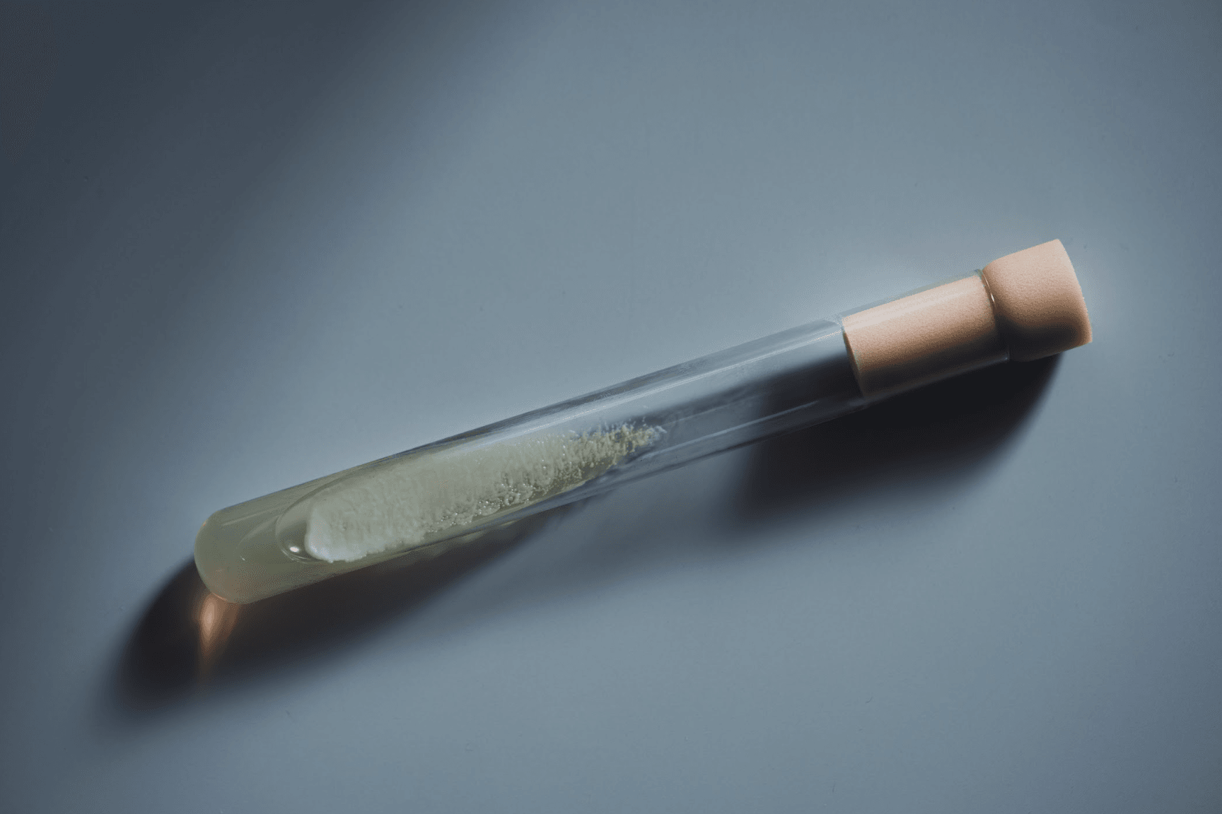 菌に向き合い続けた110年